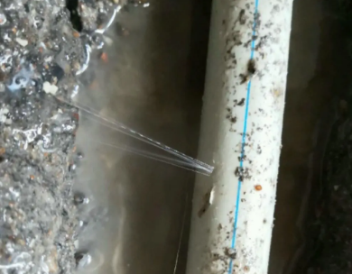 丹东市测漏水哪家好