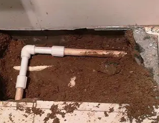 丹东市测漏水哪家好