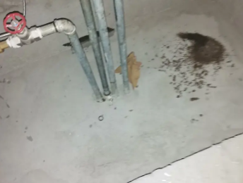 丹东市卫生间测漏水价格明细