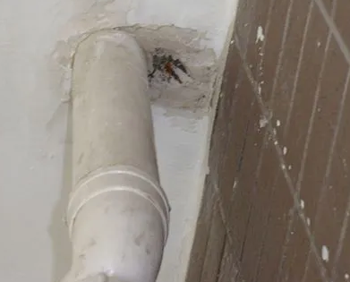 丹东市漏水检测哪家好